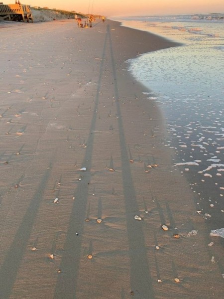 22 удивительных фото, которые не увидишь каждый день