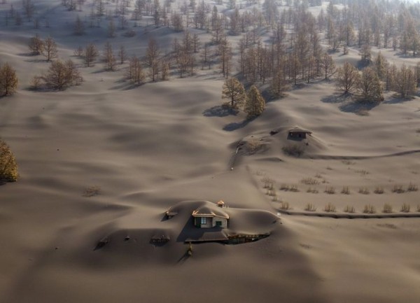 22 удивительных фото, которые не увидишь каждый день