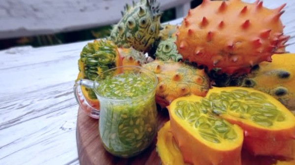 10 Нестандартных Овощей для Урожайного Огорода: Едим Не Только Картошку 10 Нестандартных Овощей для Урожайного Огорода: Едим Не Только Картошку