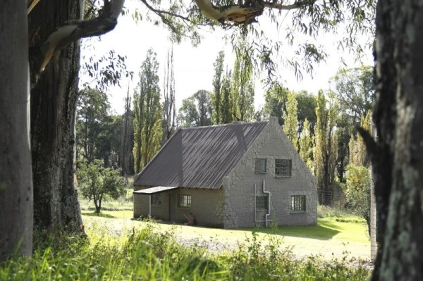 Апартаменты не для слабонервных: сдается коттедж по соседству со львами Апартаменты не для слабонервных: сдается коттедж по соседству со львами