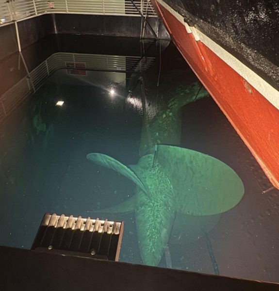 15 жутковатых фото подводных и наводных объектов, которые показывают, как может пугать большая вода 15 жутковатых фото подводных и наводных объектов, которые показывают, как может пугать большая вода