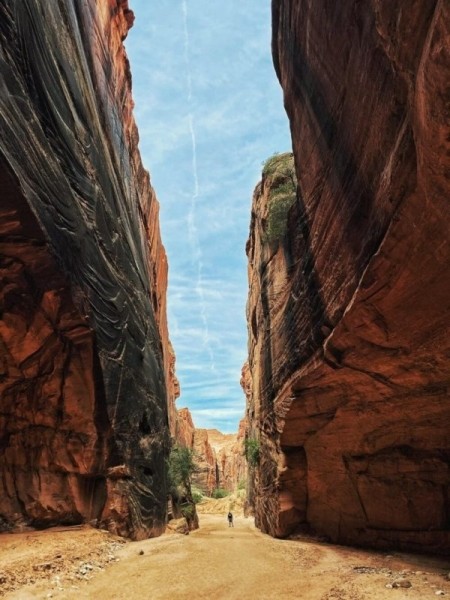Поразительные и сказочные творения природы
