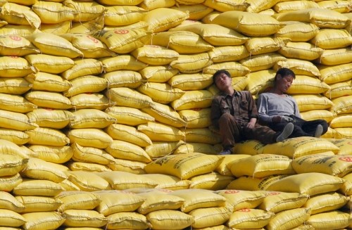 Просто отдых (10 фото) Просто отдых (10 фото)