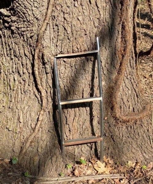 22 удивительных фото, которые не увидишь каждый день