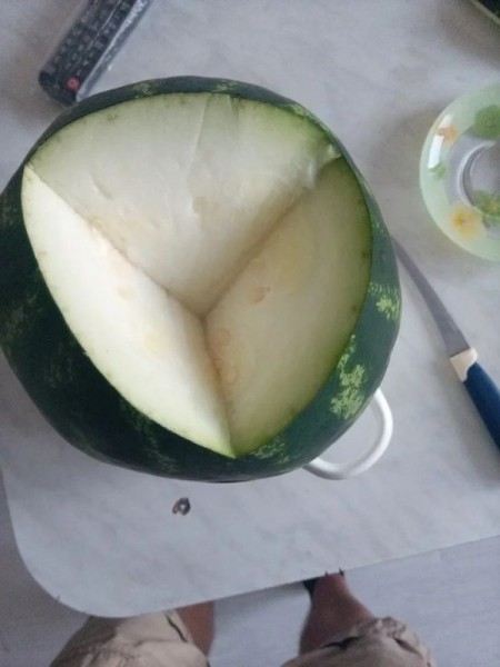 22 удивительных фото, которые не увидишь каждый день