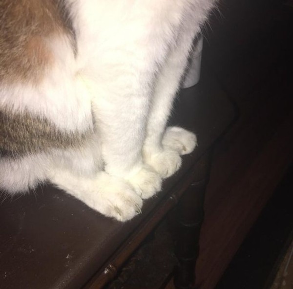 22 удивительных фото, которые не увидишь каждый день