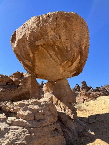 Поразительные и сказочные творения природы