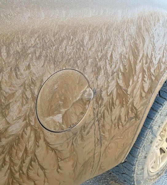 22 удивительных фото, которые не увидишь каждый день