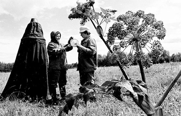 Редкие фотографии строительства БАМа Редкие фотографии строительства БАМа