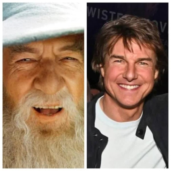 f54dfbfd155c6fd76d166528d4723f24