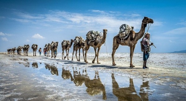 «Феномен Джибути»: почему нищая страна не по карману рядовым туристам «Феномен Джибути»: почему нищая страна не по карману рядовым туристам