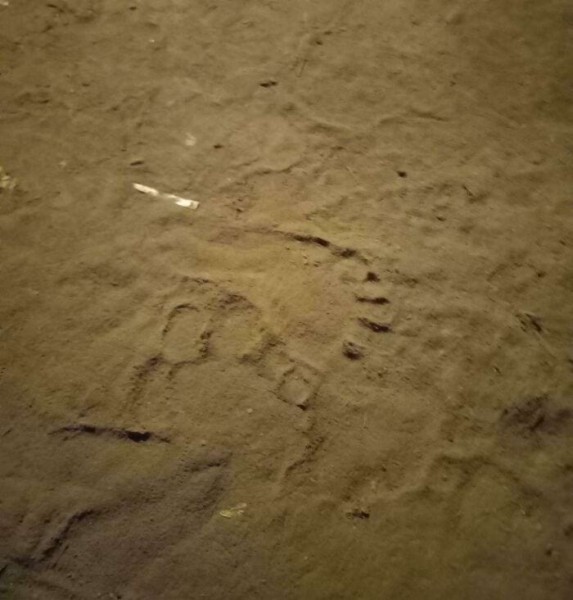 18 леденящих душу находок в домах, из-за которых владельцы пожалели о переезде