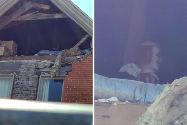 18 леденящих душу находок в домах, из-за которых владельцы пожалели о переезде