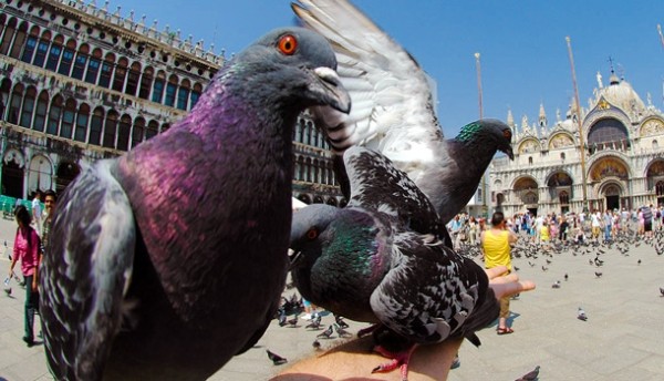 10 необычных запретов, с которыми могут столкнуться туристы 10 необычных запретов, с которыми могут столкнуться туристы