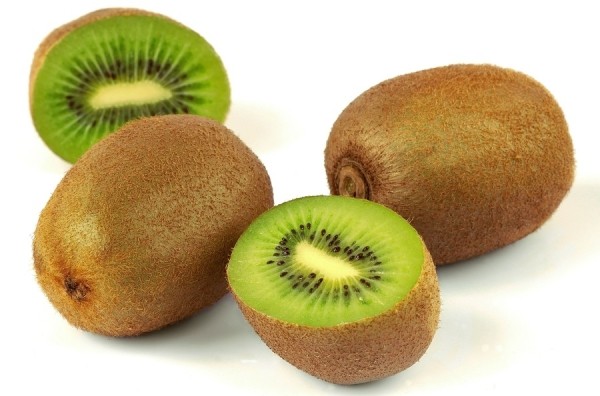 25 любопытнейших фактов о Новой Зеландии 25 любопытнейших фактов о Новой Зеландии