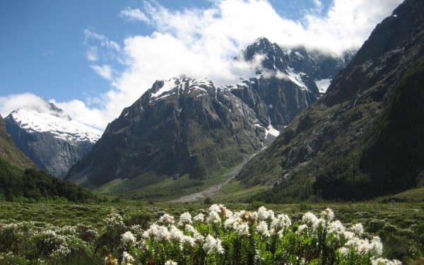 25 любопытнейших фактов о Новой Зеландии 25 любопытнейших фактов о Новой Зеландии