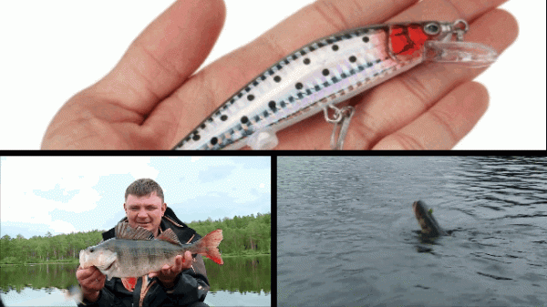 Топ-9 лучших изобретений для рыбалки Топ-9 лучших изобретений для рыбалки