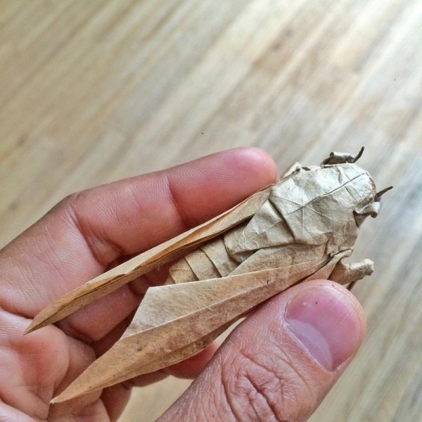 Швейцарский художник, который возводит оригами на новый уровень (12 фото)