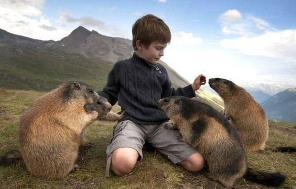 Восьмилетний малчик общается с сурками (7 фото)