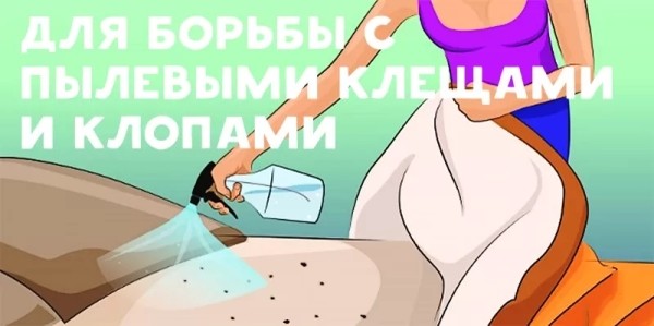 15 гениальных идей использования спирта в быту 15 гениальных идей использования спирта в быту