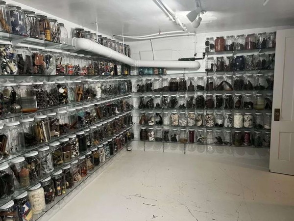 18 леденящих душу находок в домах, из-за которых владельцы пожалели о переезде