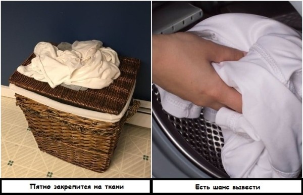 Почему пятна нельзя натирать мылом: 8 ошибок, из-за которых загрязнения не выводятся из ткани Почему пятна нельзя натирать мылом: 8 ошибок, из-за которых загрязнения не выводятся из ткани