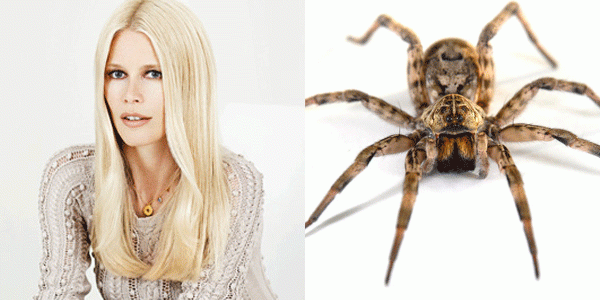 Кинжалы Анджелины и еще 8 странных и крутых хобби звезд