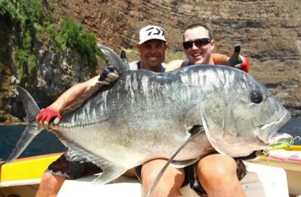 Гигантский каранкс: сшибает акул всмятку Гигантский каранкс: сшибает акул всмятку