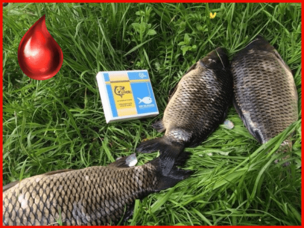 Топ-9 лучших изобретений для рыбалки Топ-9 лучших изобретений для рыбалки