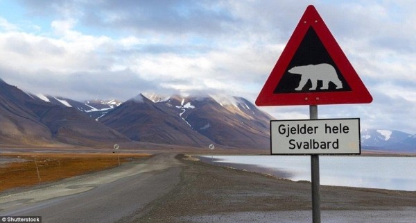 Лонгйир: самый северный город на Земле, в котором по закону запрещено умирать