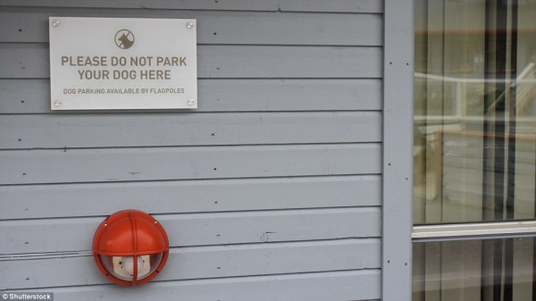 Лонгйир: самый северный город на Земле, в котором по закону запрещено умирать