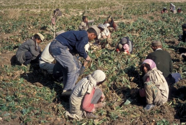 Тонкий Восток и модный Запад: фототур американца по Ирану в 1967 году