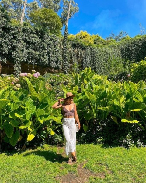 Удивительный сад из "Алисы в Стране чудес" Удивительный сад из "Алисы в Стране чудес"