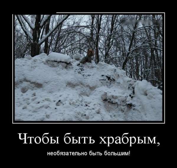 Прикольные демотиваторы