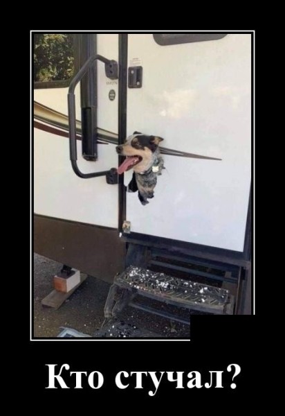 Прикольные демотиваторы