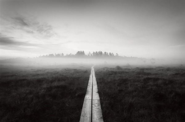 Победители конкурса на лучшую минималистичную фотографию 2021 года (18 фото) Победители конкурса на лучшую минималистичную фотографию 2021 года (18 фото)