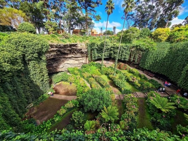 Удивительный сад из "Алисы в Стране чудес" Удивительный сад из "Алисы в Стране чудес"