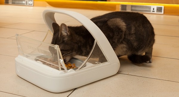 ТОП-10 прикольных вещей для здоровья вашего кота (10 фото) ТОП-10 прикольных вещей для здоровья вашего кота (10 фото)