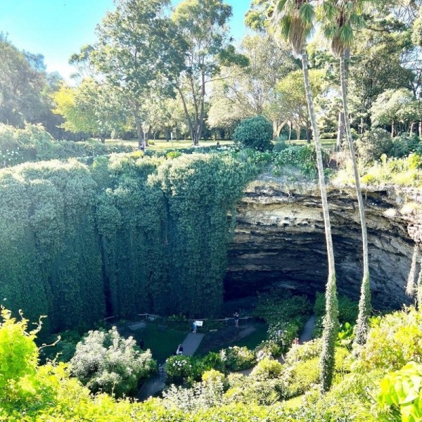 Удивительный сад из "Алисы в Стране чудес" Удивительный сад из "Алисы в Стране чудес"
