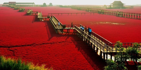 15 невероятно красивых мест на планете Земля, которые ждут вас 15 невероятно красивых мест на планете Земля, которые ждут вас