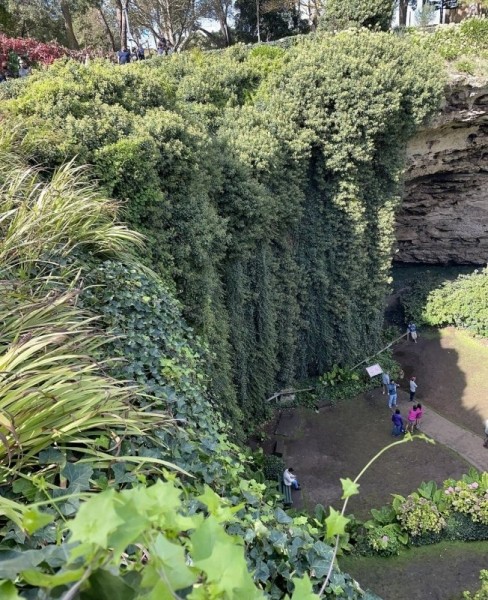 Удивительный сад из "Алисы в Стране чудес" Удивительный сад из "Алисы в Стране чудес"