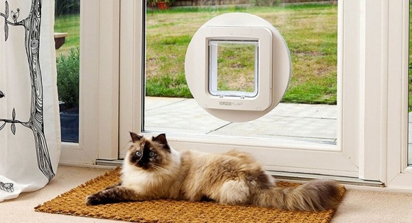 ТОП-10 прикольных вещей для здоровья вашего кота (10 фото) ТОП-10 прикольных вещей для здоровья вашего кота (10 фото)