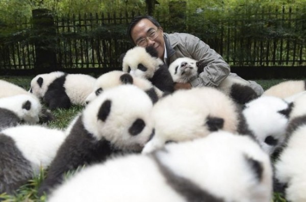 12 неординарных баров в мире 12 неординарных баров в мире