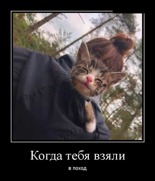 Прикольные демотиваторы