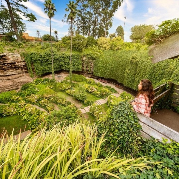 Удивительный сад из "Алисы в Стране чудес" Удивительный сад из "Алисы в Стране чудес"