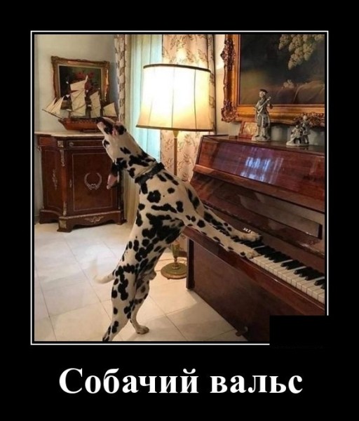 Прикольные демотиваторы