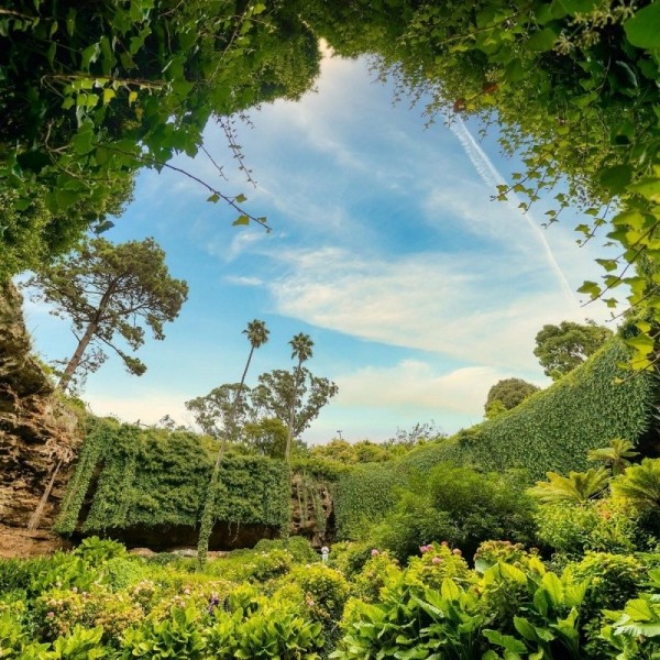 Удивительный сад из "Алисы в Стране чудес" Удивительный сад из "Алисы в Стране чудес"