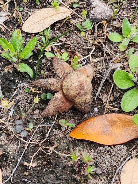 15 фотографий природных явлений, которые удивят даже отъявленных сухарей