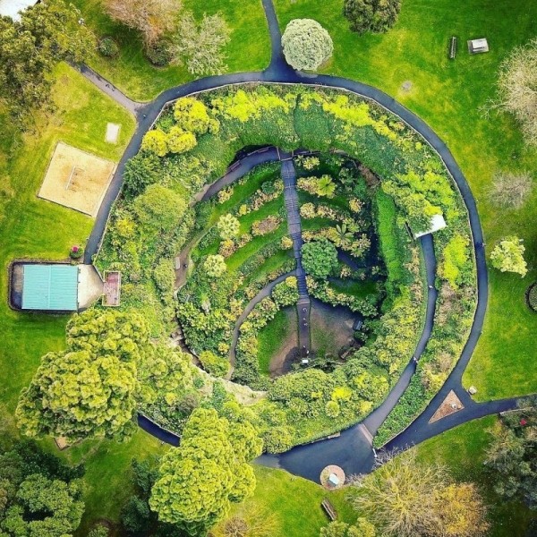 Удивительный сад из "Алисы в Стране чудес" Удивительный сад из "Алисы в Стране чудес"