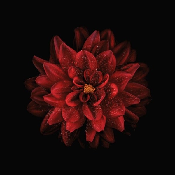 Захватывающие фотографии природы, получившие премию 2022 International Photography Awards (19 фото)